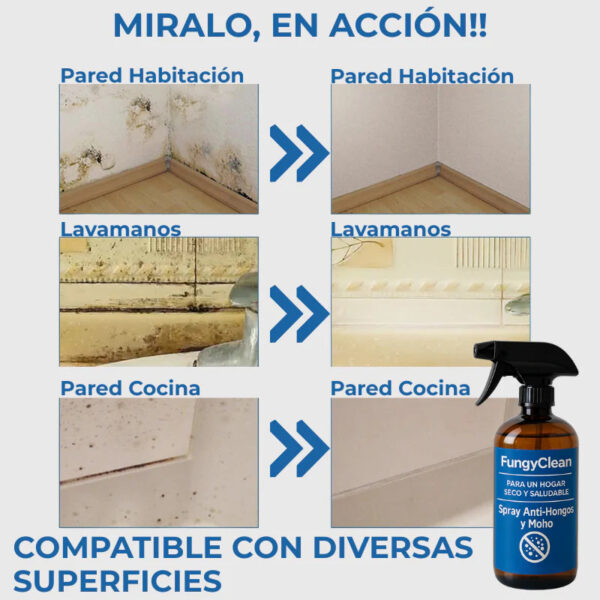 FungyClean- La Solución a Los Hongos de tu Hogar - Image 3