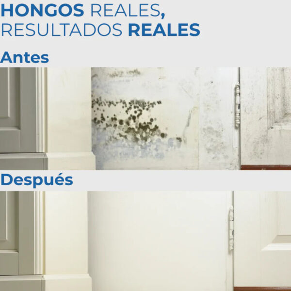 FungyClean- La Solución a Los Hongos de tu Hogar - Image 5